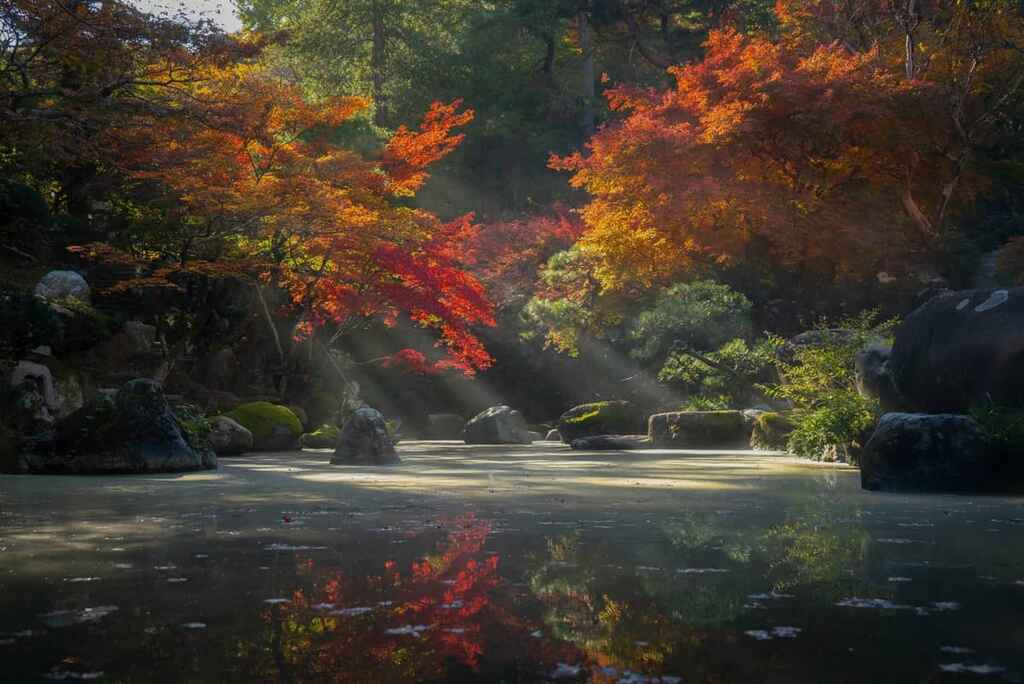 A beautiful pond surrounded by colorful trees | How to write a haiku