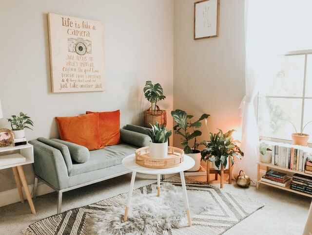 A cozy living room with houseplants, earthy-colored decor, and a comfy sofa.