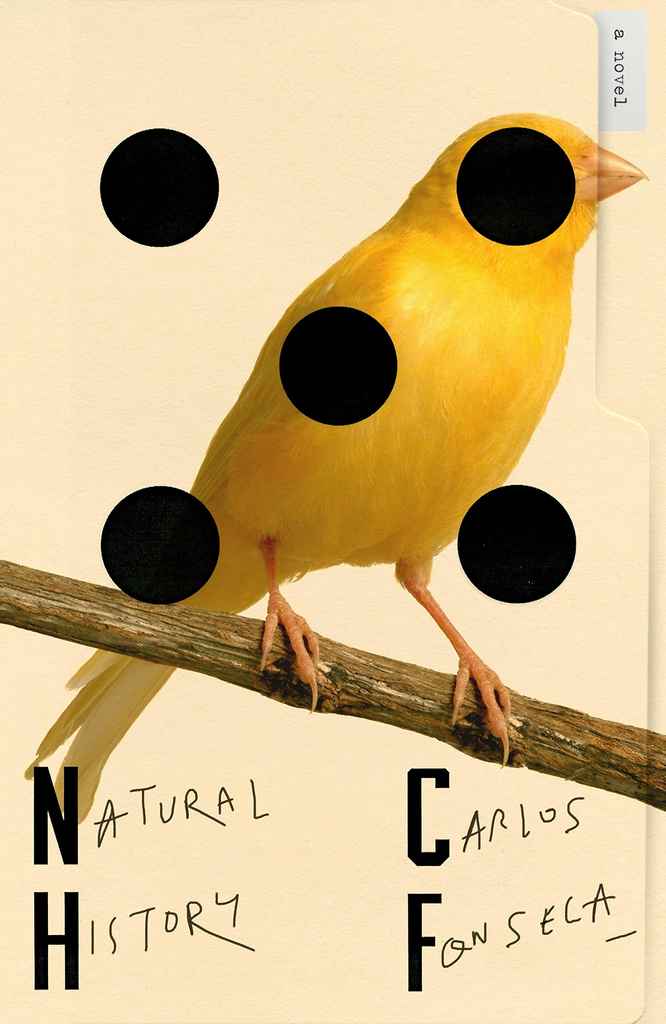 Book Cover | Natural History by Carlos Fonesca
