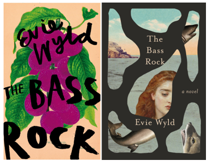 Book Covers | The Bass Rock by Evie Wyld