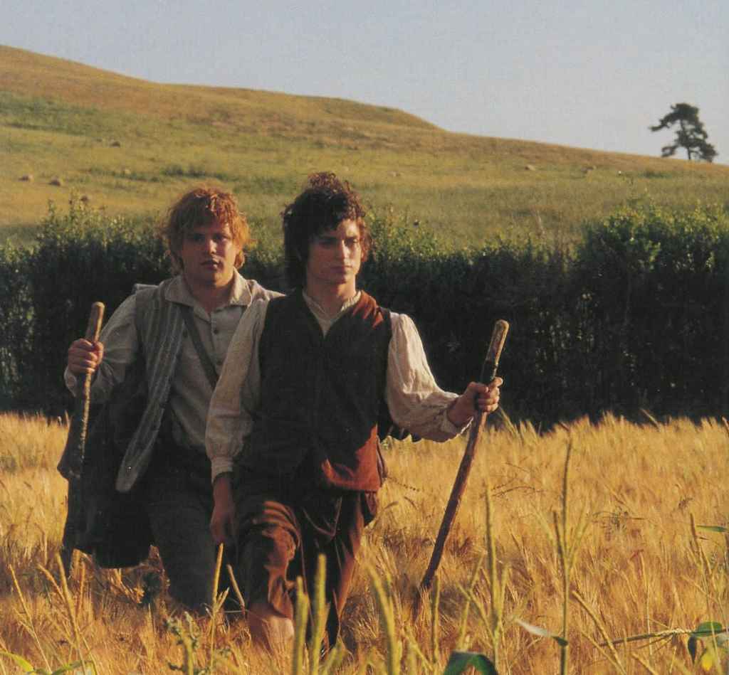 How to find an editor | Still from the Lord of the Rings, showing Frodo and Sam walking in a golden field.