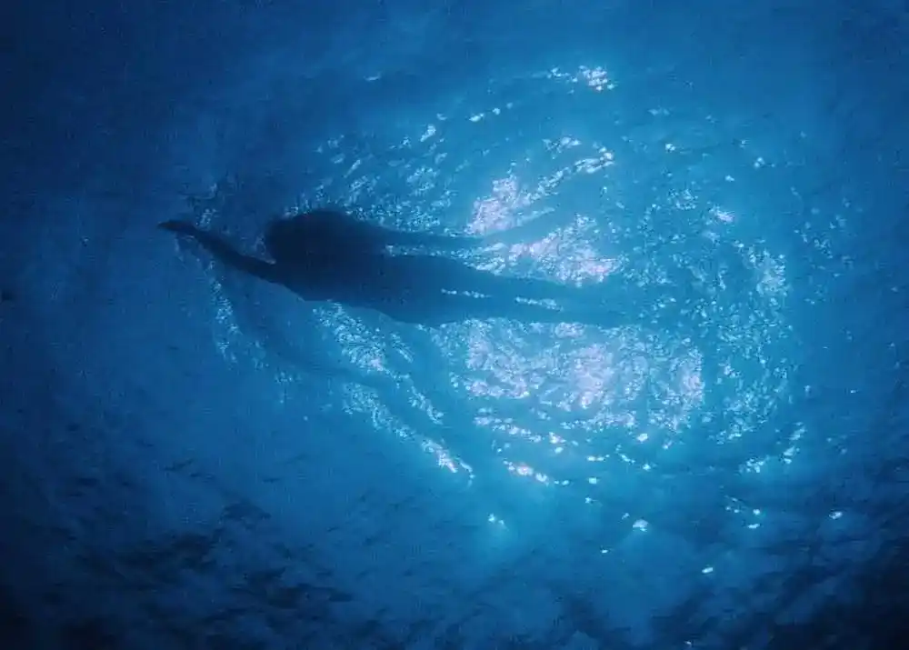The unsuspecting swimmer prior to getting eaten in the opening of Jaws.