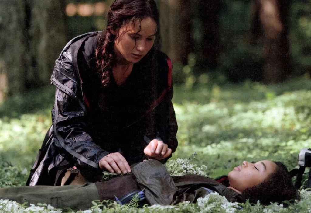 Seven-Point Structure | Rue's Death in The Hunger Games 