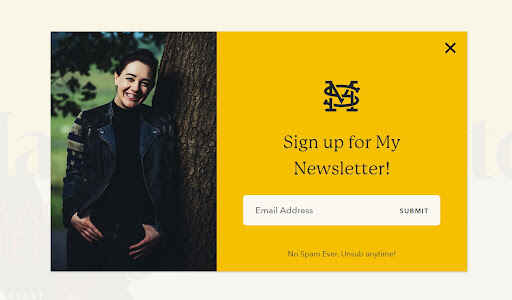 A pop-up that features a photo of Maggie Stiefvater and an invitation to sign up to her newsletter.