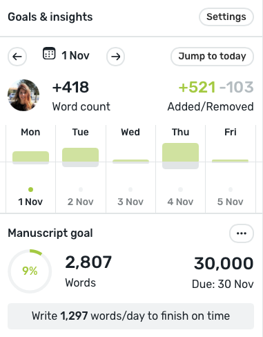 A snapshot of the Reedsy Studio word count statistics