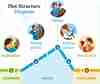 What is Plot Structure? Definition and Diagram