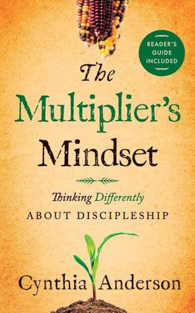 The Multiplier's Mindset book cover, by Jonathan L.