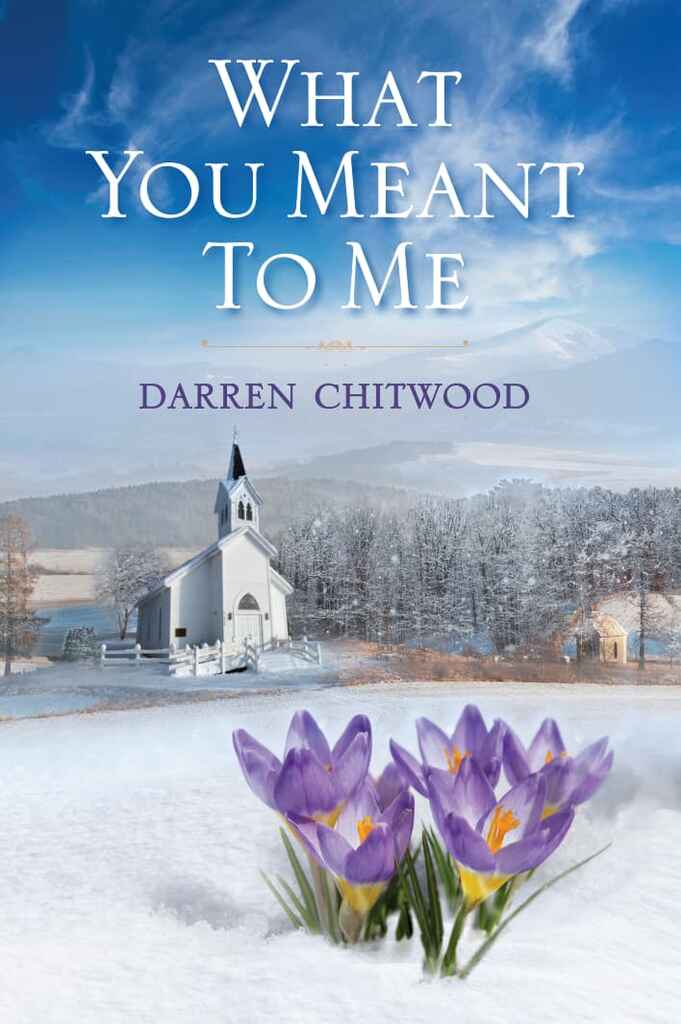 What You Meant to Me book cover, by Lynn A.