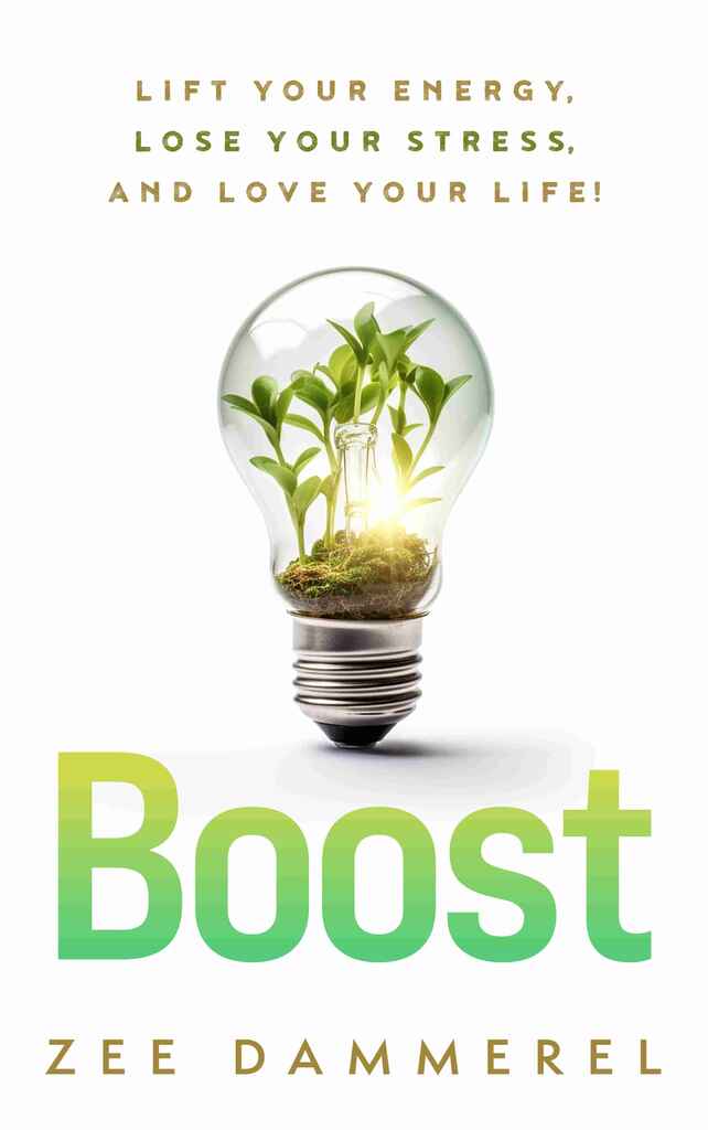 Boost  book cover, by Vanessa M.