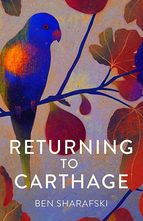 Returning to Carthage book cover, by Owen G.