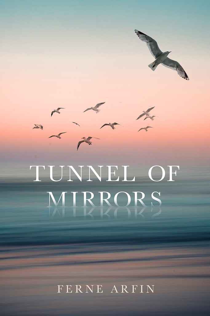 Tunnel of Mirrors book cover, by Laura D.