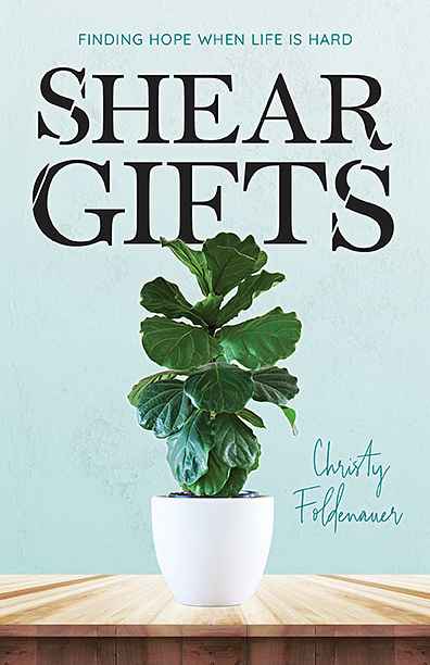 Shear Gifts book cover, by Steve K.