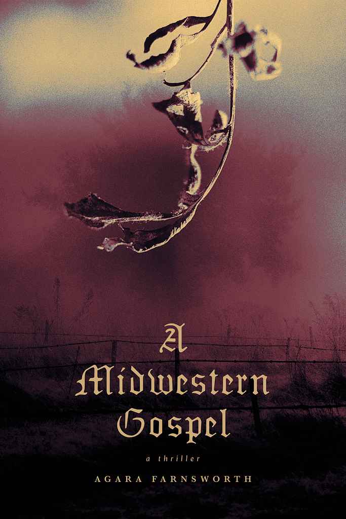 A Midwestern Gospel book cover, by Nuno M.