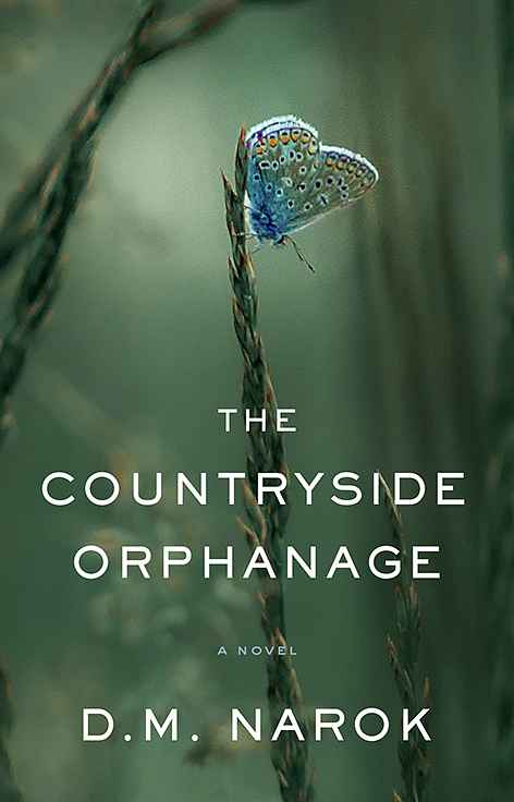 The Countryside Orphanage book cover, by Joe M.