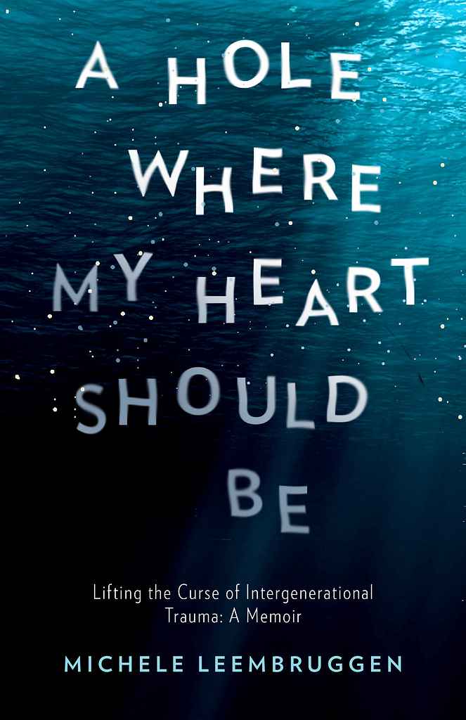 A Hole Where My Heart Should Be book cover, by Marina D.