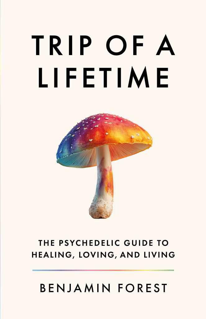Trip of a Lifetime book cover design by Arjan V. featuring a modern, minimalist illustration of a single mushroom with a subtle rainbow spectrum stem.