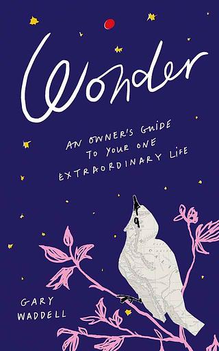 Wonder